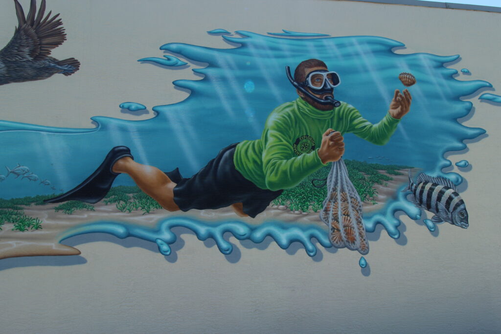 Scalloping mural in Crystal River in Citrus County