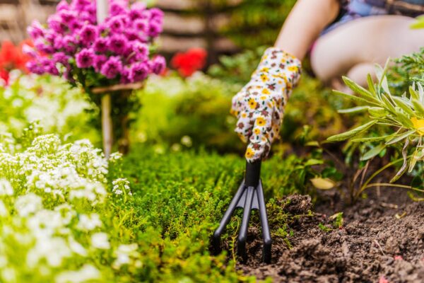 Health Benefits of Gardening