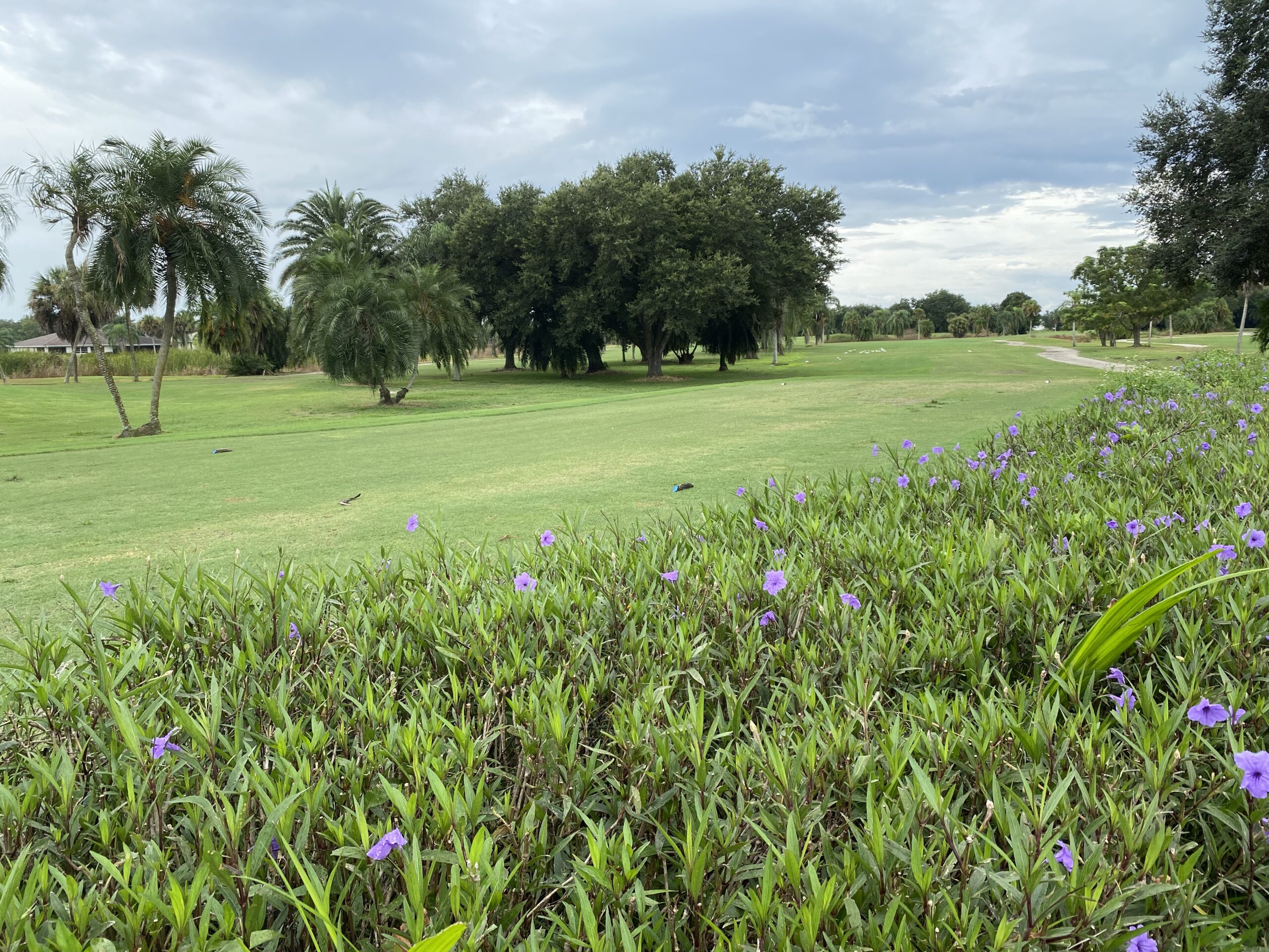 Public Golf Course in Leigh Acres