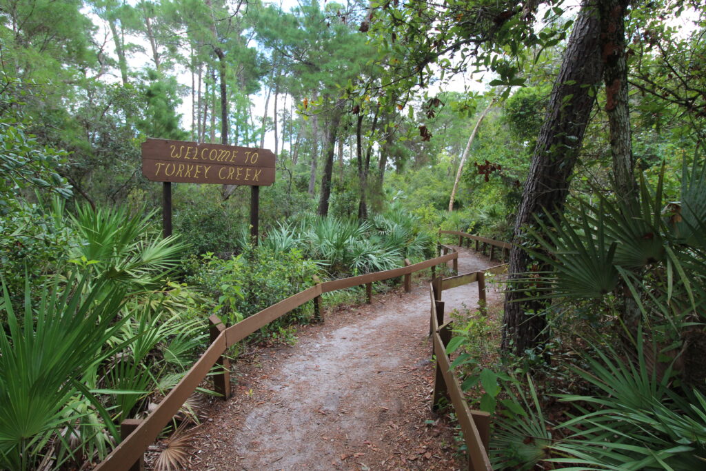 Turkey Creek Recreation Area in Palm Bay.