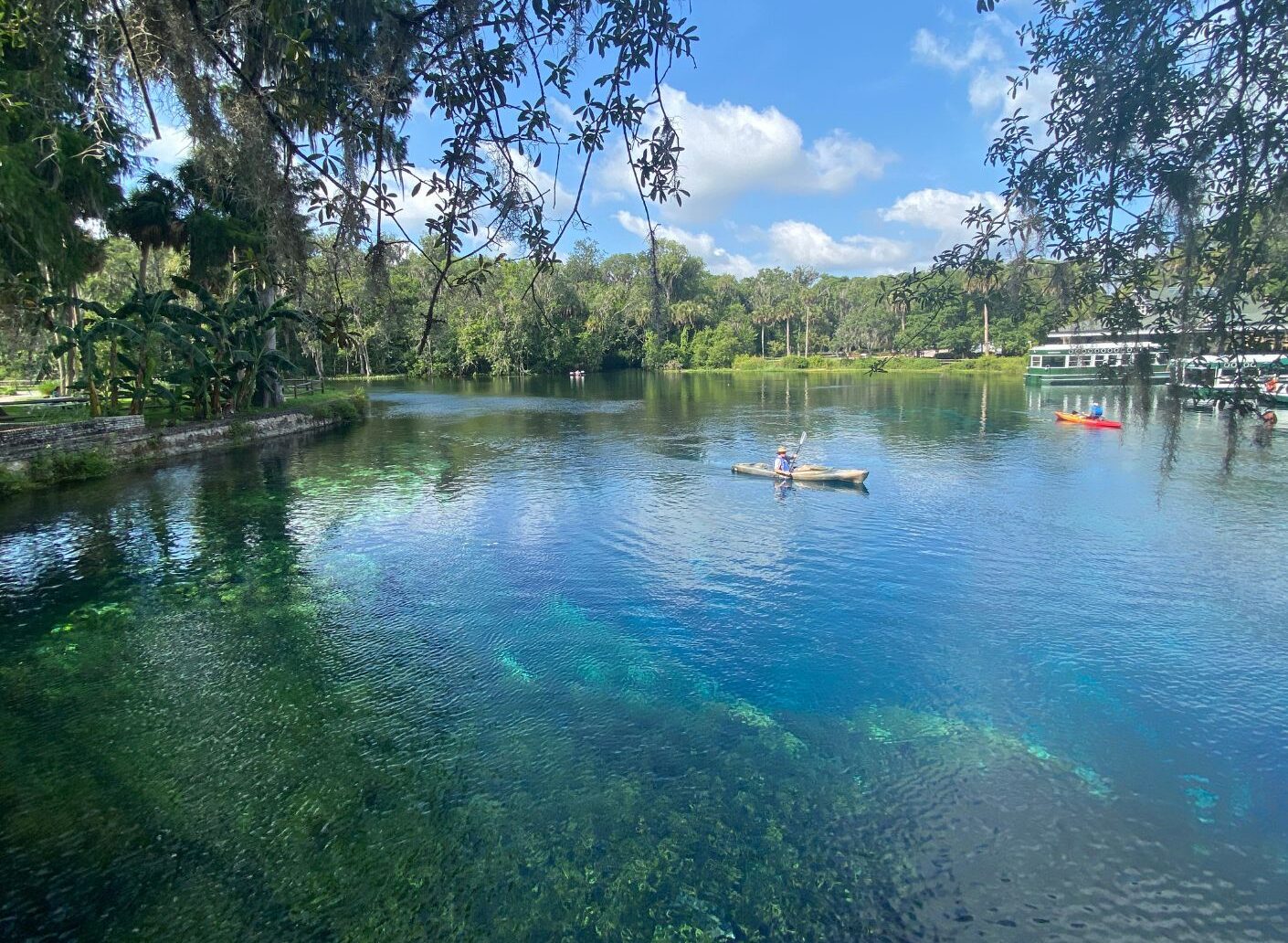 So many water activities with the springs and lakes in Central Florida