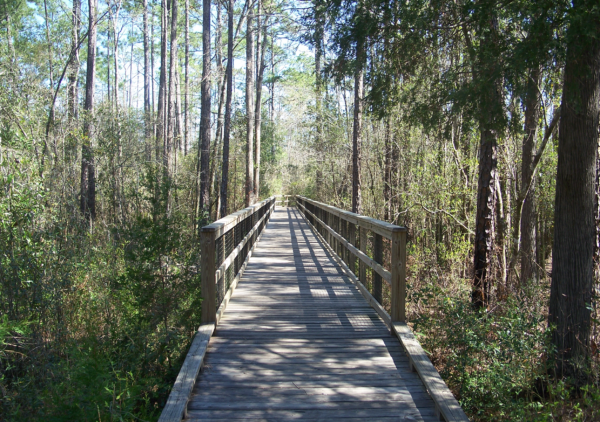 Blackwater River State Park