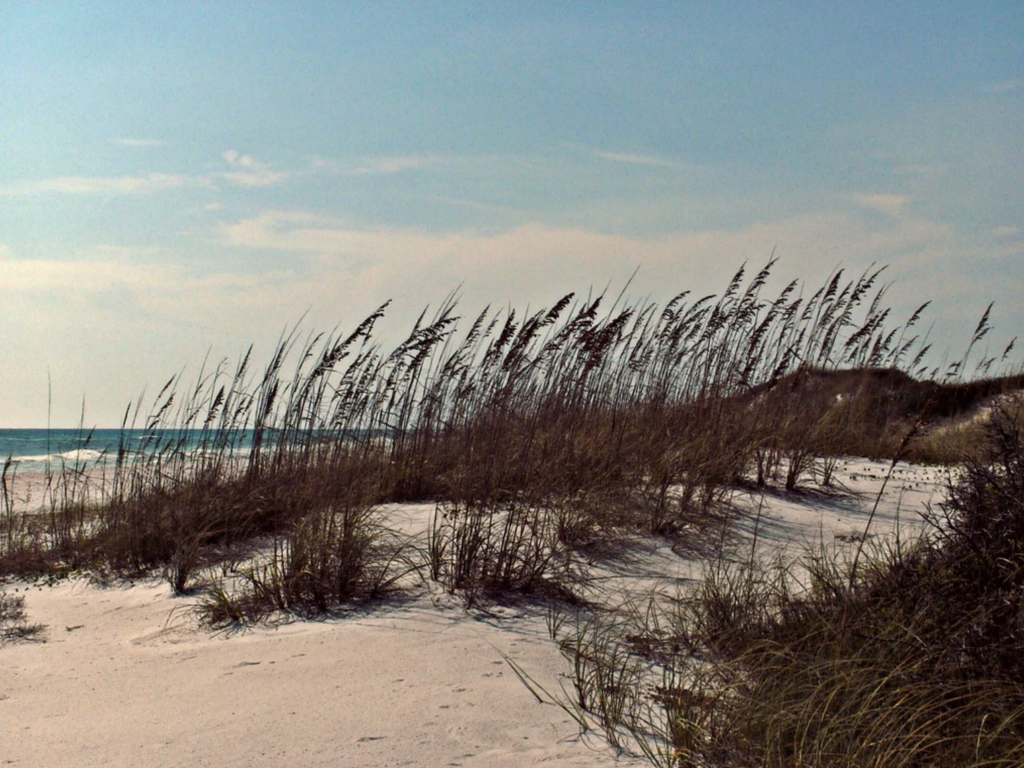 Grayton Beach State Park